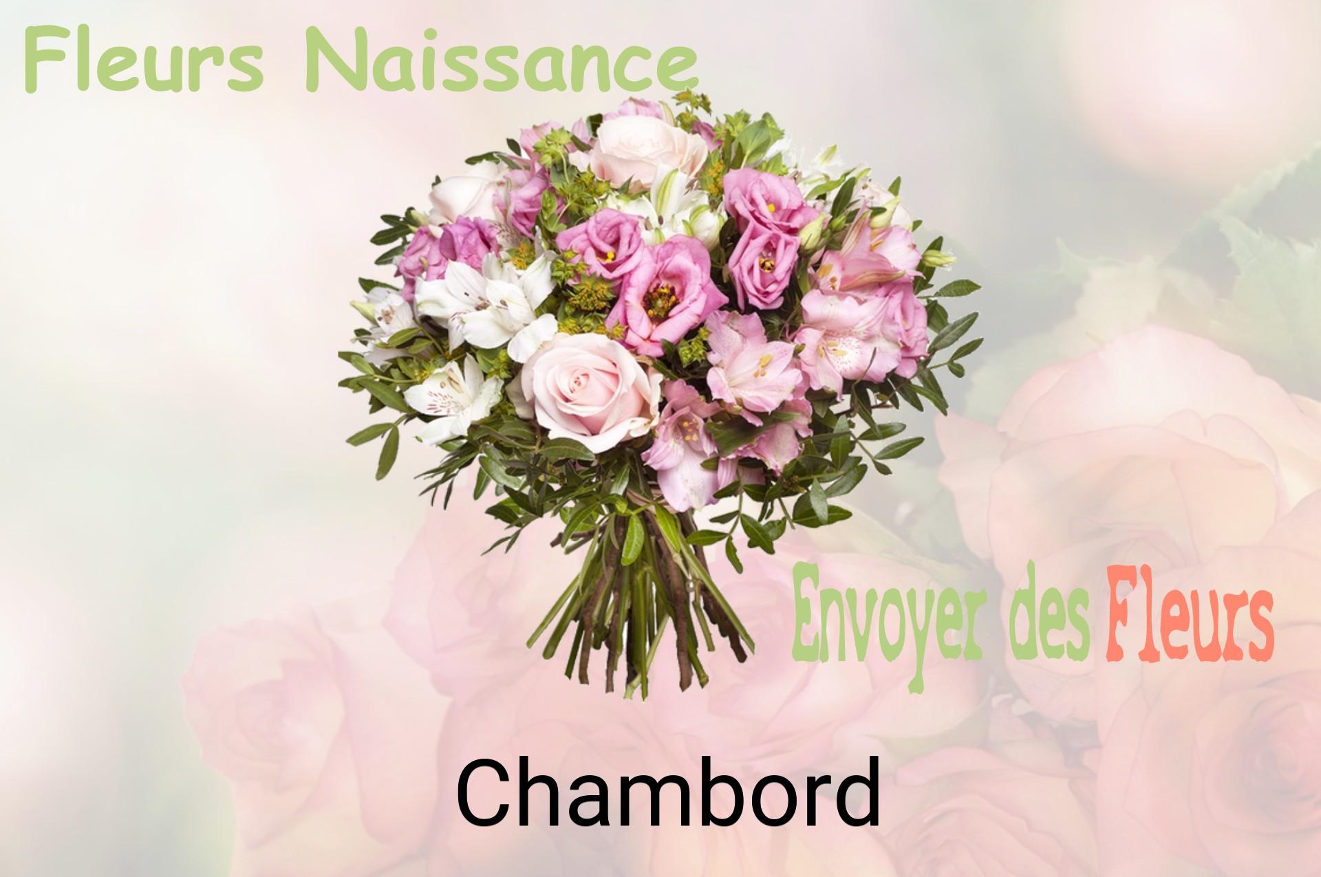 Bouquet de fleurs de naissance livré à Chambord